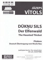 Duknu sils (The Haunted Thicket / Der Elfenwald)