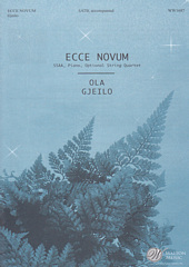 Ecce Novum